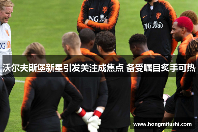 沃尔夫斯堡新星引发关注成焦点 备受瞩目炙手可热