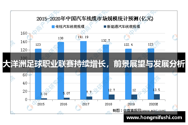 大洋洲足球职业联赛持续增长，前景展望与发展分析