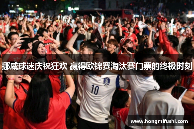 挪威球迷庆祝狂欢 赢得欧锦赛淘汰赛门票的终极时刻